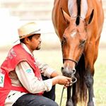 Profile Picture of Leocteevolucao (@alex.jacinto123) on Instagram