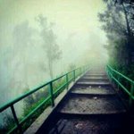 Bernie Laporte - Instagram Profile Picture of Bernie Laporte (@bernielaporte) on Instagram