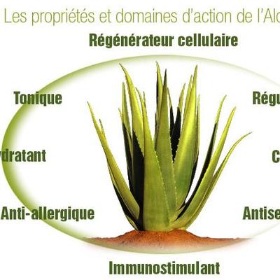 Profile Picture of Ahmed Diallo (@@ahmeddiallo1) on Twitter