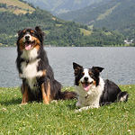 Profile Picture of Eric de Boer (@De Boer Journalistiek) on Flickr