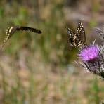 Profile Picture of Glenn Senter (@gsenter1) on Facebook