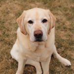 Profile Picture of Sam Boyd (@sam.butterball) on Instagram