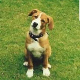 Profile Picture of Ken Lathan (@ken.lathan.18) on Facebook