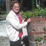 Profile Picture of Ercilia Flora Matos Pérez (@erciliafloramatosperez) on Instagram