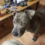 Profile Picture of David Pinard (@David-Pinard) on Facebook