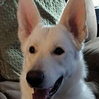 Profile Picture of Sheila Sampson (@sheila-sampson-2) on Quora