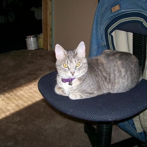 Profile Picture of Randi Benoit (@stacie3784) on Myspace