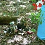 Profile Picture of Philippe Lussier (@philippe.lussier3) on Instagram