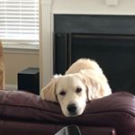 Profile Picture of Mark Wainscott (@mark.wainscott.56) on Instagram