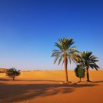 Jamie Zhang - Instagram Profile Picture of Jamie Zhang (@smiling_jamie) on Instagram