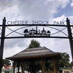 Profile Picture of Lisa Shock Tharp (@ltharp0424) on Instagram