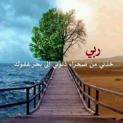 Profile Picture of Fatima Mahmoud (@omeabeeha810) on Twitter