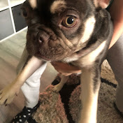 Profile Picture of Tia Haynes (@TiaHaynes-fl5io) on Youtube