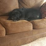 Profile Picture of Jonathan Clarey (@jonathanc708) on Instagram