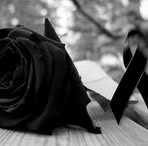 Profile Picture of Danny Chavez (@danny.chavez.586978) on Facebook