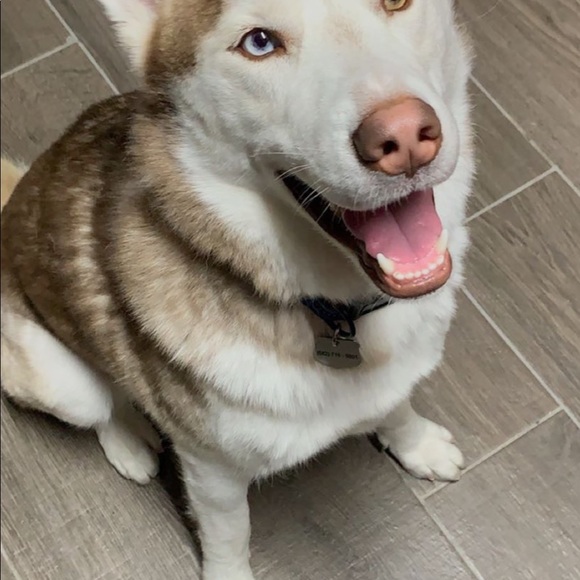 Profile Picture of Hung Dinh (@hunghdinh) on Poshmark