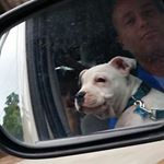 Profile Picture of David Bensley (@drong.go) on Instagram