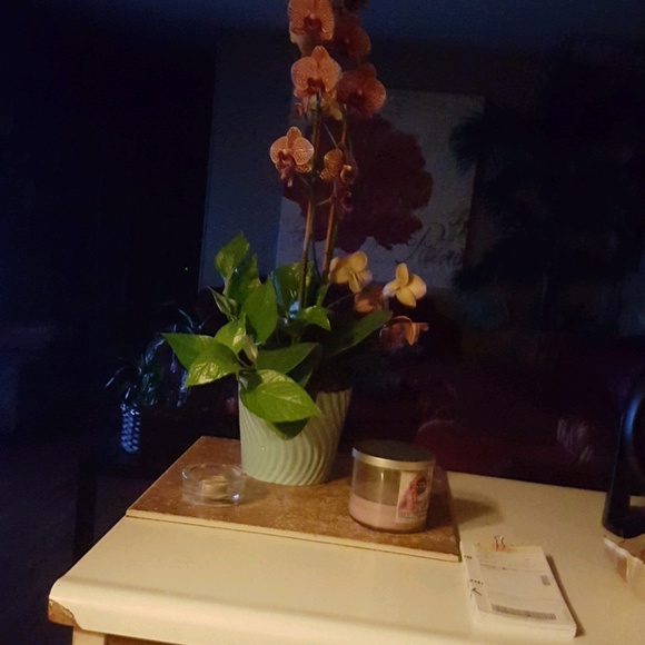 Profile Picture of Elzbieta Lasek (@terrence9) on Poshmark