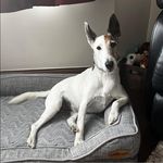 Profile Picture of Sharon Keane (@sharonkeane) on Instagram