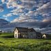 Profile Picture of joseph sabbag (@josephsabbag) on Pinterest