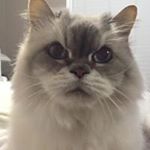 Profile Picture of Kim Ferri (@kimferri) on Instagram