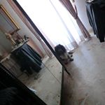 Profile Picture of David Ettore Zuccaro (@zuccarodavid) on Instagram