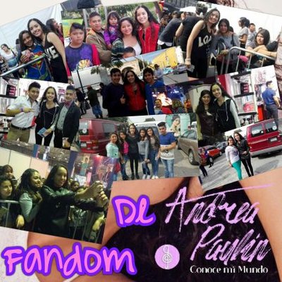 Profile Picture of Fandom Andrea Paulín (@FansAndyPaulin) on Twitter