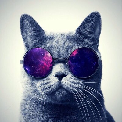 Profile Picture of Omar Ferrer (@omarferrer026) on Twitter