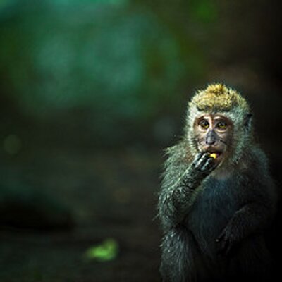Profile Picture of James Yoder (@jamesyoder80) on Twitter