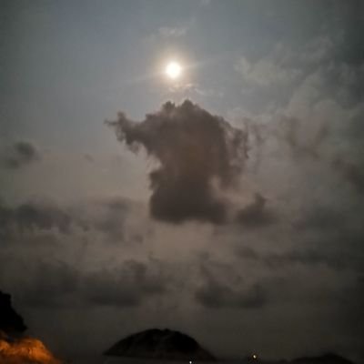 Kit Sin - Twitter Profile Picture of Kit Sin (@KitSin11) on Twitter