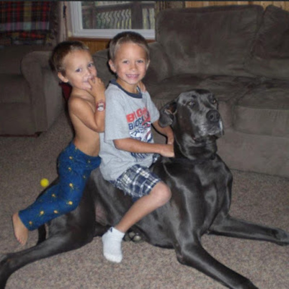 Robbie Guzinski - Poshmark Profile Picture of Robbie Guzinski (@robguzinski05) on Poshmark