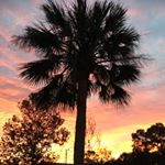 Profile Picture of Nancy Finley (@ormondrealtor) on Instagram