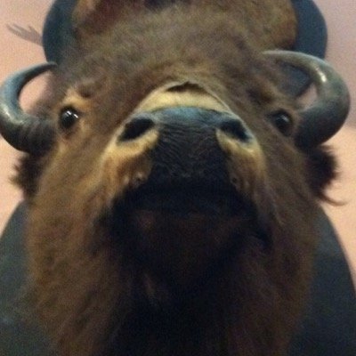 Profile Picture of David Wishart (@davidmwishart) on Twitter
