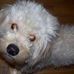 Profile Picture of Sherri Ping (@sherri.ping.7) on Facebook
