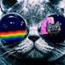 Profile Picture of Kyle Halloran (@kyle.halloran.5) on Facebook