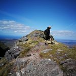 Steve Donaldson - Instagram Profile Picture of Steve Donaldson (@steve_donaldson) on Instagram