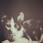 Profile Picture of sophia lucille suggs (@sophialucillesuggs) on Instagram