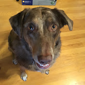 Profile Picture of Nathan Rouse (@nathanrouse2634) on Youtube