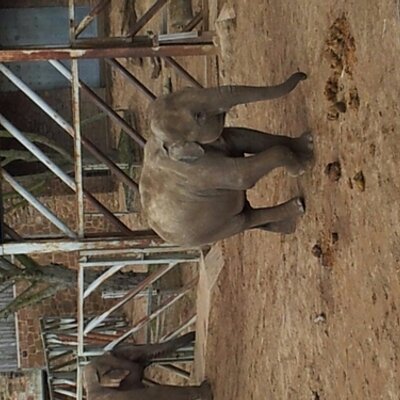 Profile Picture of Andy Mcinnes (@andyumc1) on Twitter