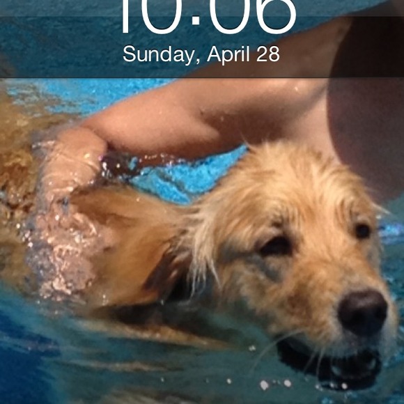 Profile Picture of J Jenkins (@joannejenkins) on Poshmark