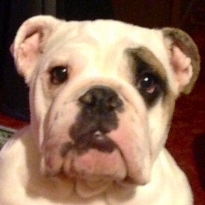 Profile Picture of Evelyn Evans (@Evans1Don) on Twitter