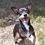 Profile Picture of BobCarpenter (@bob_carpenter25) on Instagram