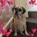 Profile Picture of Lorraine Lee (@lorraine.bestwick) on Facebook