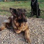 Profile Picture of Patrick Cellier (@cellierpatrick) on Instagram