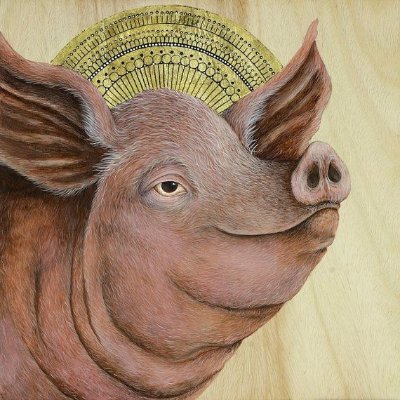 Profile Picture of David Hollins (@nevertweet01) on Twitter