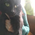 Profile Picture of Blacky Colgate (@blacky.colgate) on Facebook