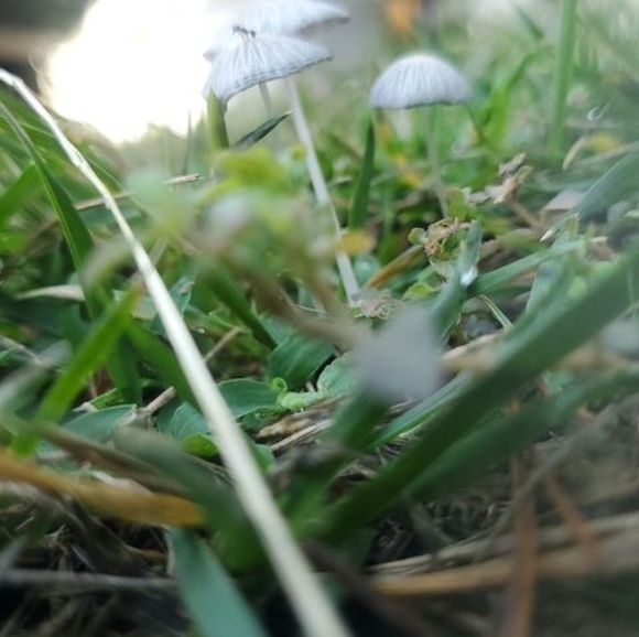 Profile Picture of Dustin Bequette (@dustinbequette) on Poshmark