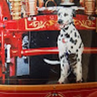 Profile Picture of Tony Pagano (@tony-pagano-20) on Quora