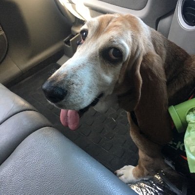 Profile Picture of Calvin Fu (@CalvinFu14) on Twitter