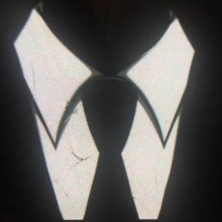 Profile Picture of Steven Allo (@steven.allo.52) on Facebook